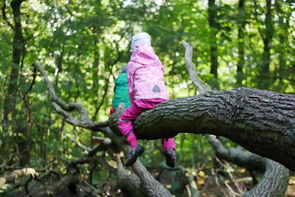 Kinder im Ostertagescamp der Wildnispfade klettern auf einem Baum.
