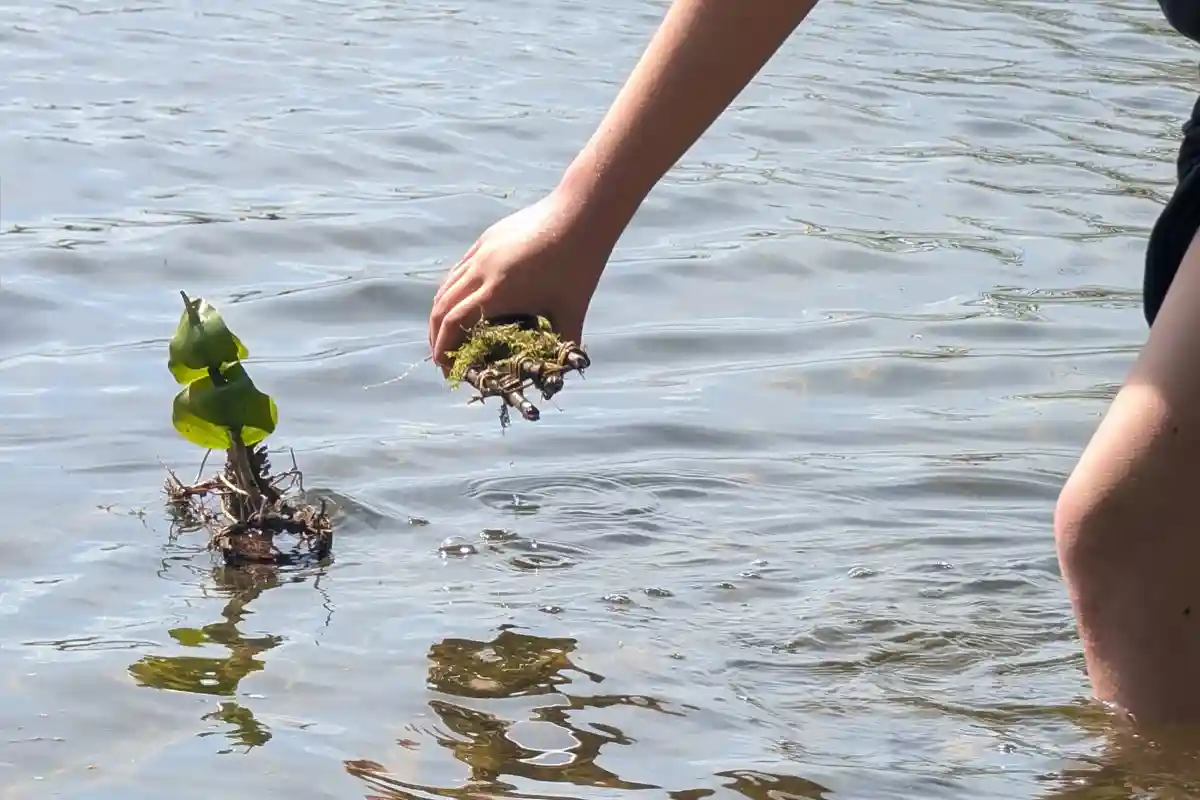 Kinder bauen boote aus Naturmaterial und lassen sie ins wasser