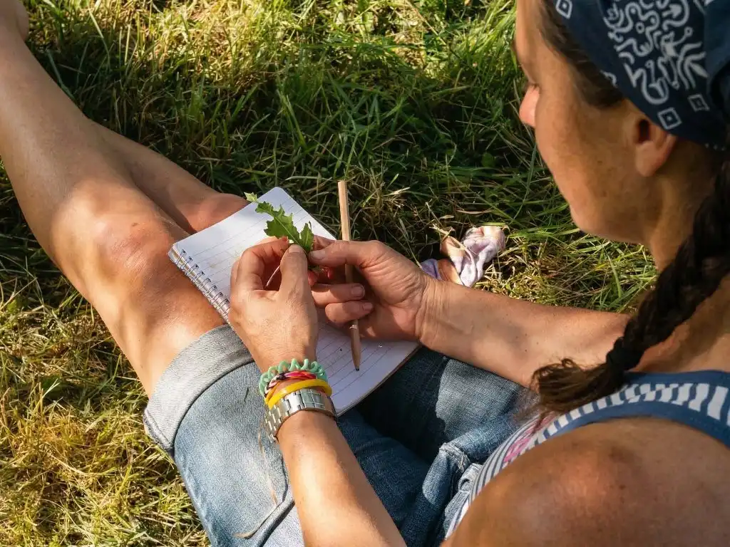 Pflanzen werden durch Nature Journaling Aufgaben intensiver kennengelernt.