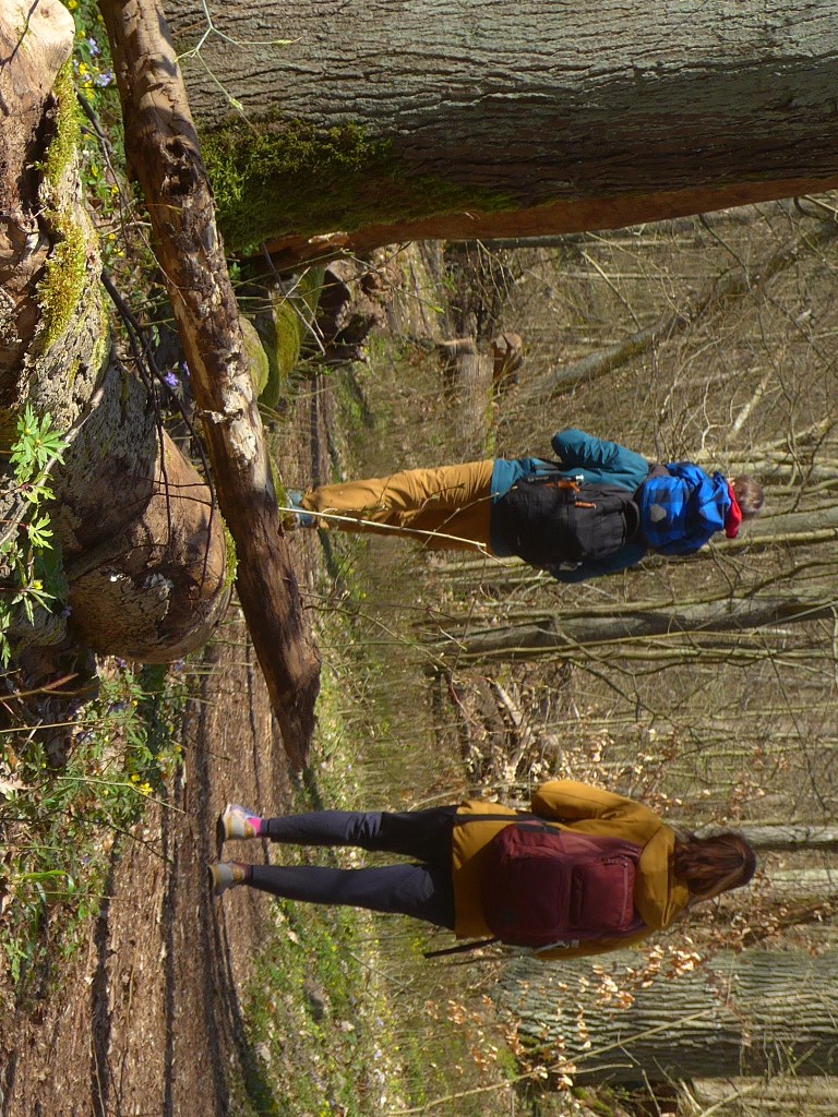Eine Familie spaziert durch den Wald.