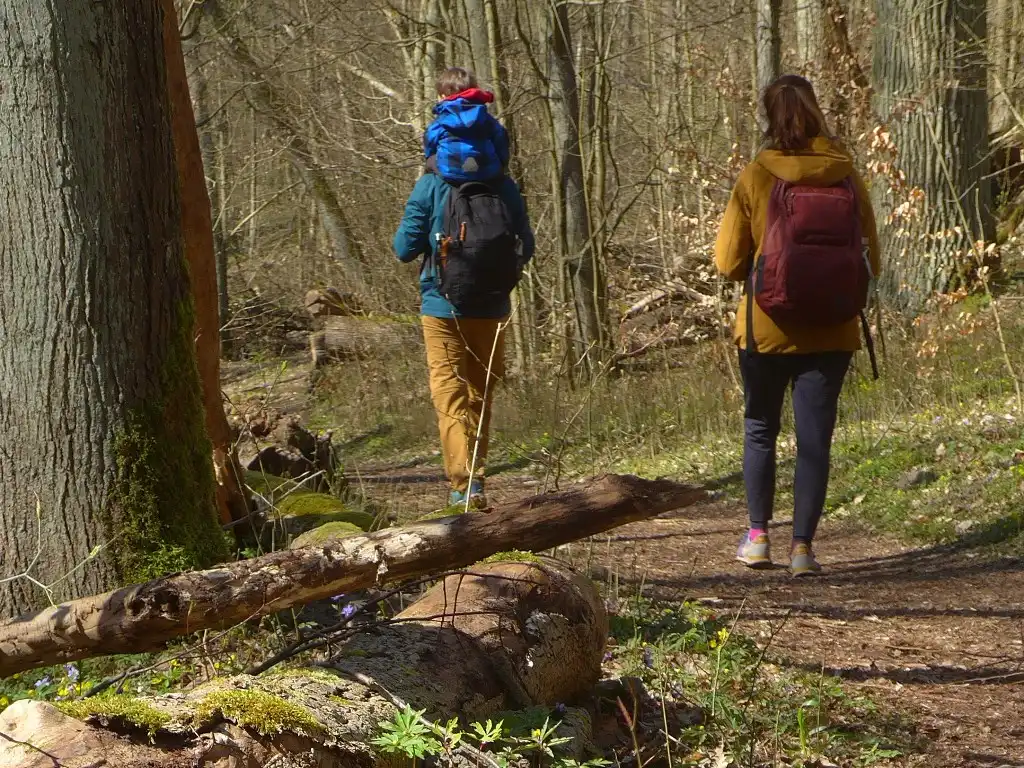 Eine Familie spaziert durch den Wald.