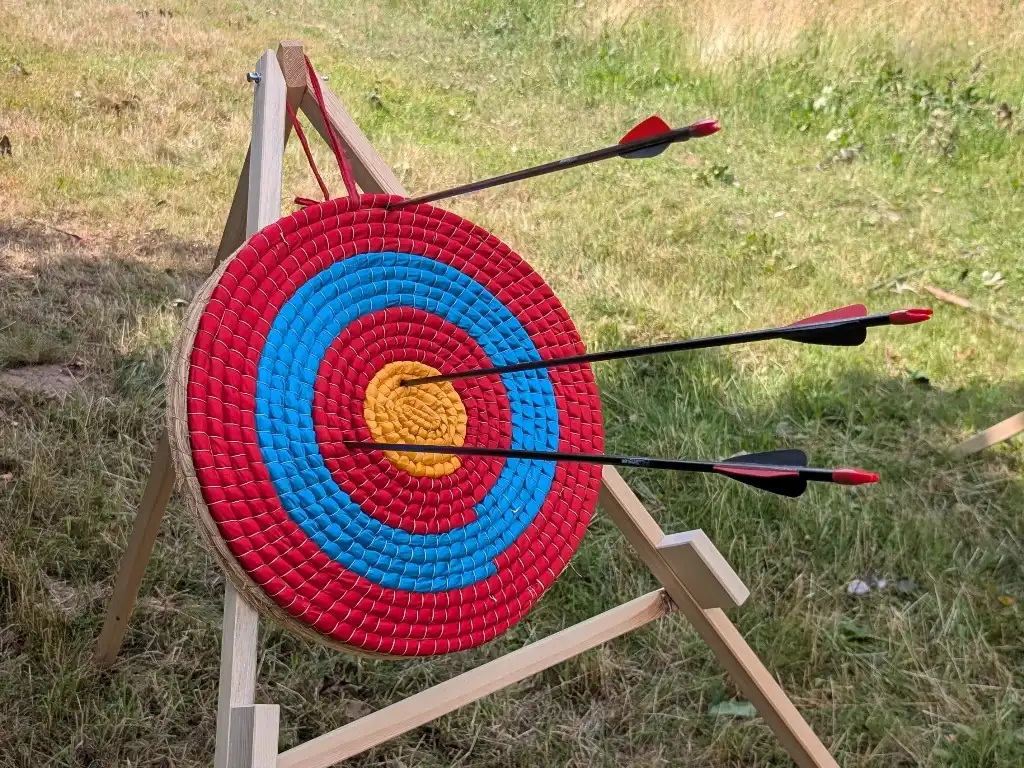 Eine Zielscheibe im Grünen mit Pfeilen vom Bogenschießen.