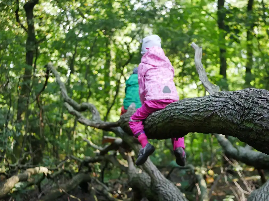 Zwei Kinder klettern beim wilden Waldgeburtstag auf einem umgefallenen Baumstamm.