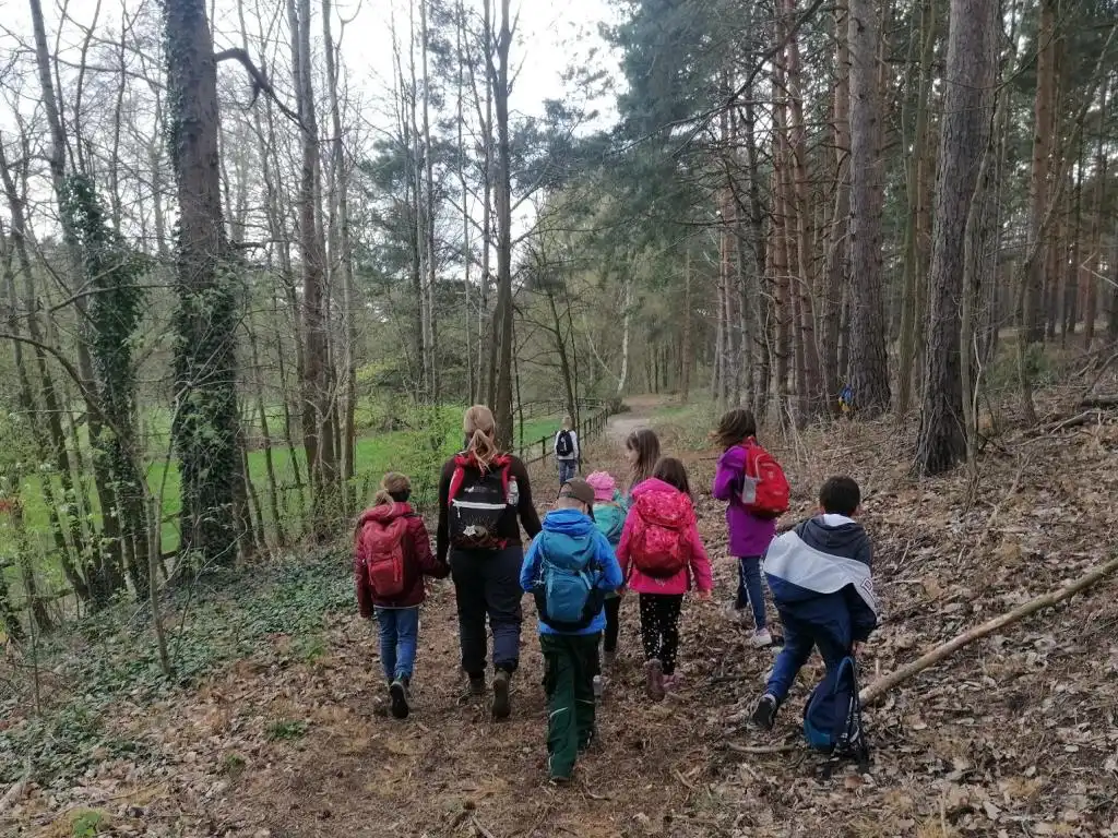Eine Klasse erkundet zu Fuß den Wald.