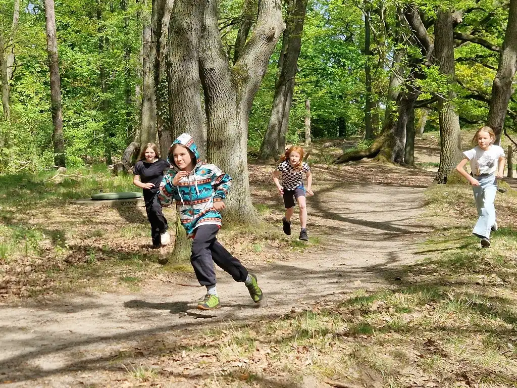 Kinder spielen ein Geländespiel im Wald.