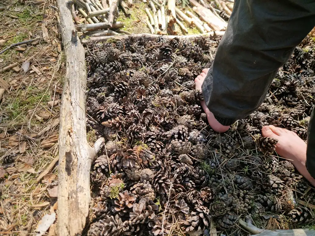 Ein Kind läuft über einen selbstgebauten Barfußpfad im Wald.