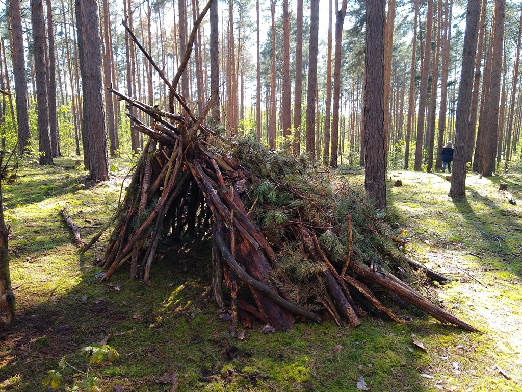 eine von Kindern gebaute Hütte im Wald bei der wilden Klassenfahrt