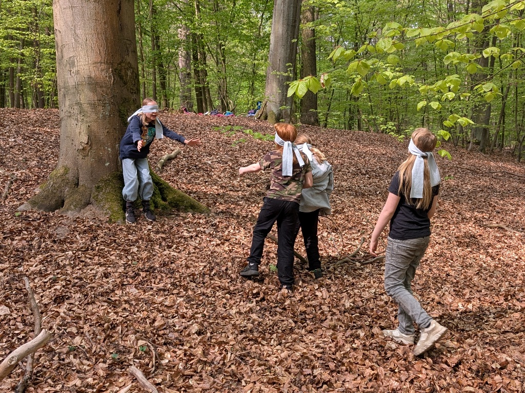 Bei einem Orientierungsspiel laufen vier Schüler mit Augenbinden durch den Wald.