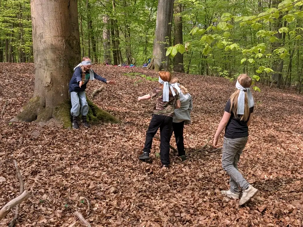 Bei einem Orientierungsspiel laufen vier Schüler mit Augenbinden durch den Wald.