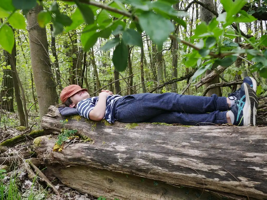 Ein Junge liegt entspannt auf einem Baumstamm beim Waldtag seiner Klasse.