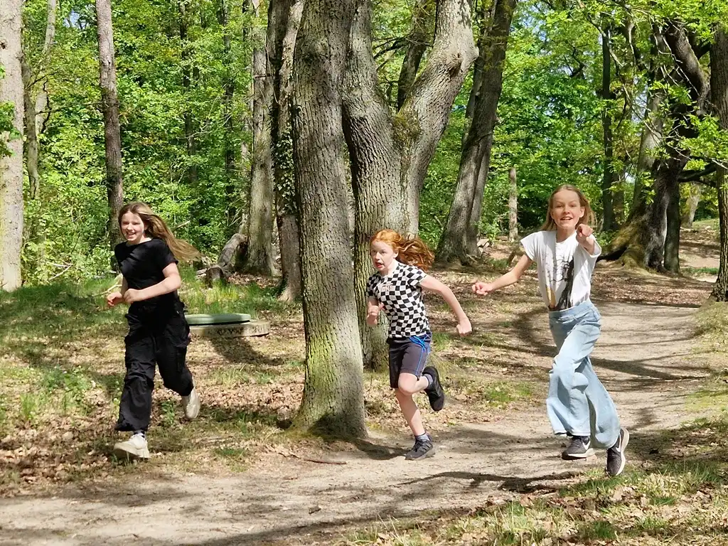 Schüler einer Klasse spielen ein Teamspiel im Wald.