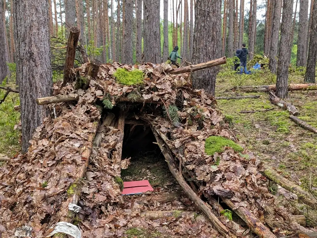 Kinder bauen eine Hütte beim Waldtag ihrer Klasse.