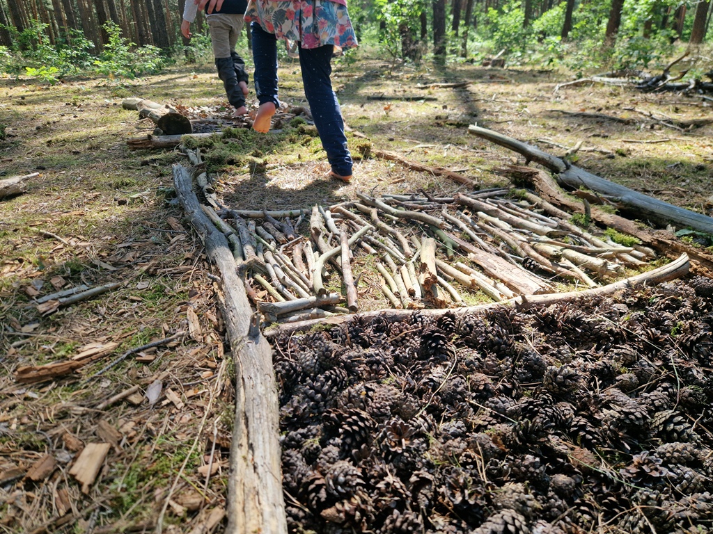 Kinder laufen beim Waldtag der Schulklasse über einen Barfußpfad.
