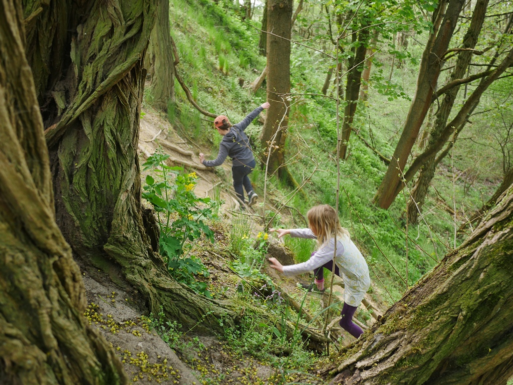 Kinder klettern einen Berg im Wald hoch.