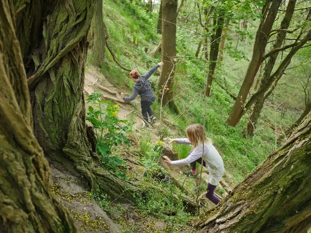 Kinder klettern einen Berg im Wald hoch.